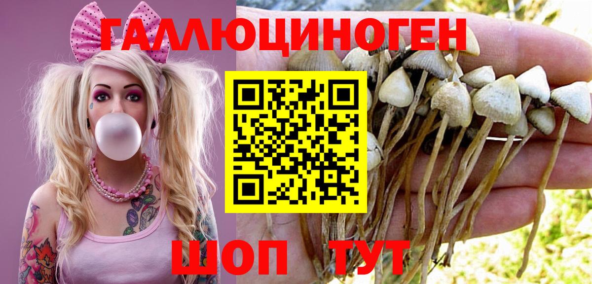 Псилоцибиновые грибы мухоморы Лесозаводск