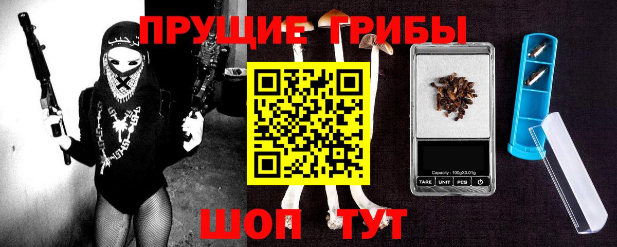 Лесозаводск  Псилоцибиновые грибы Cubensis  Вход с VPN  Псилоцибиновые грибы Cubensis 